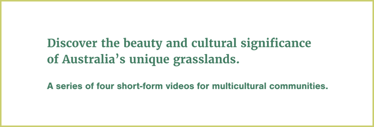 Discover the beauty and cultural significance of Australia's unique grasslands. A series of four short-form videos for multicultural communities.